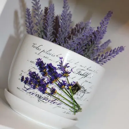 Lucky With Jacuzzi Apartamento