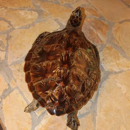 Διαμέρισμα Lucky With Jacuzzi Τρογκίρ